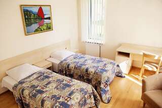 Отель Domus Hotel Бирштонас Стандартный двухместный номер с 2 отдельными кроватями-3